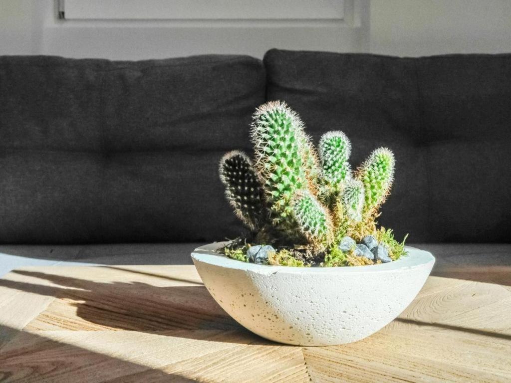 ديتن ام هوكونغ Leni'S Mountain Appartements المظهر الخارجي الصورة